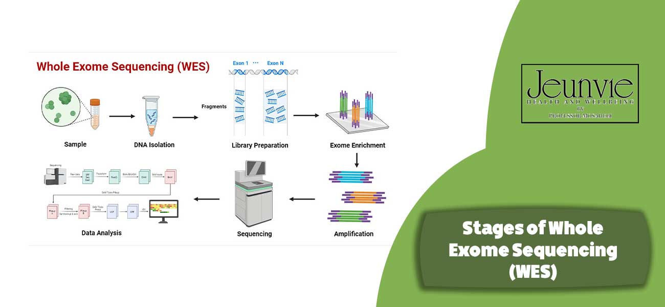 Stages of Whole Exome Sequencing (WES)